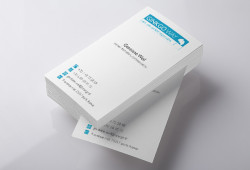 carte visite ginkgoWay